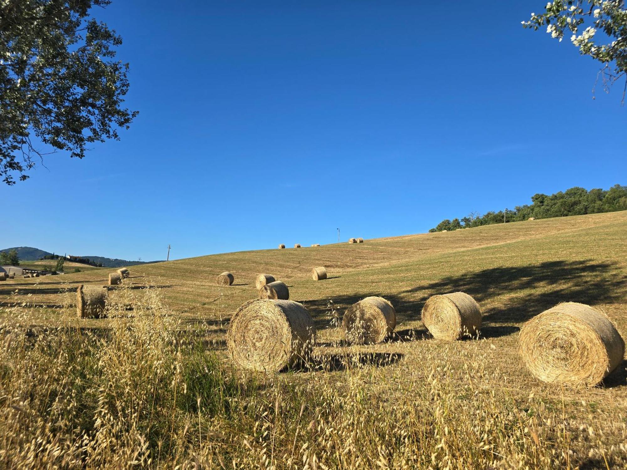 Finestra Della Val D'Orcia Daire Contignano Dış mekan fotoğraf
